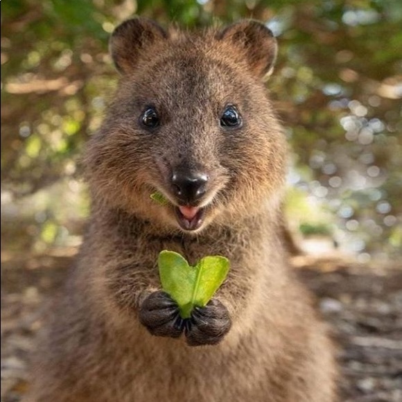 Meet your Posher, Katie - Picture 1 of 1